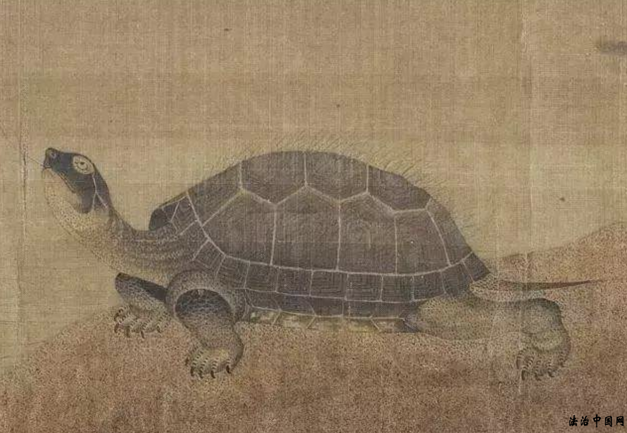 ͼƬ