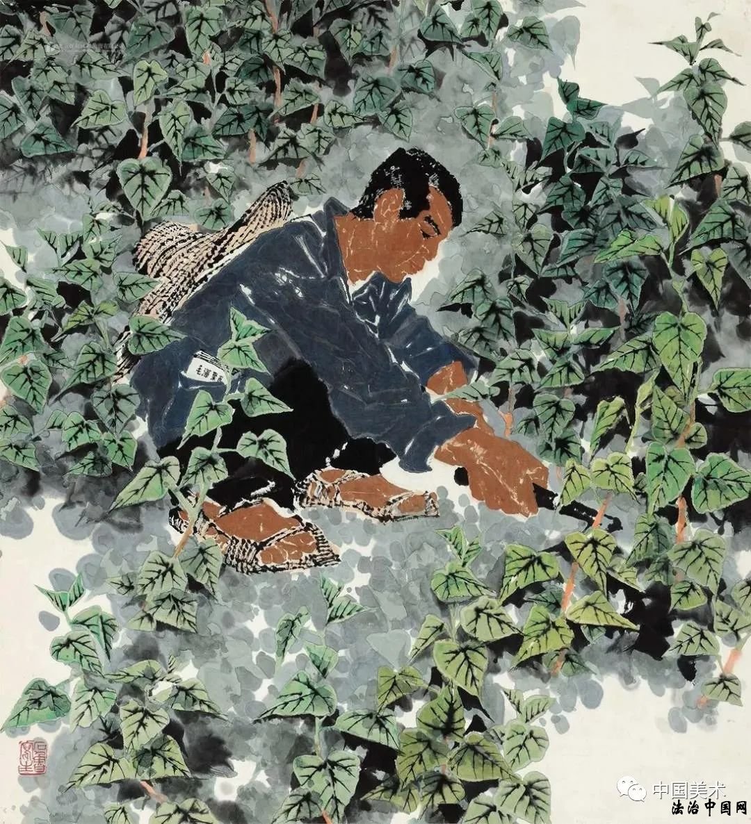 图片