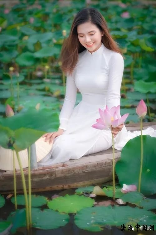 ͼƬ